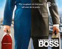 Undercover Boss US S02E11 HDTV XviD-187HD