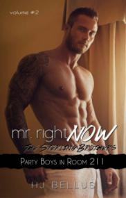 Mr  Right Now -Vol  2 - Party Boy in Room 211 by HJ Bellus