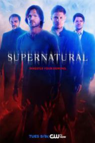 Supernatural S10E22 720p HDTV x264 AAC <span style=color:#fc9c6d>- Ozlem</span>
