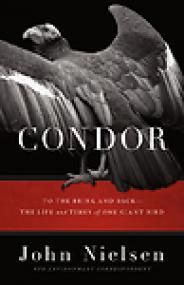 Condor, To the Brink and Back, The Life and Times of One Giant Bird - John Nielsen