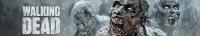The Walking Dead S10E22 WEB-DL XviD<span style=color:#fc9c6d> B4ND1T69</span>