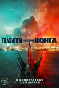 Godzilla vs  Kong<span style=color:#777> 2021</span> VO feofanio WEBRip-AVC [wolf1245 MediaBit]