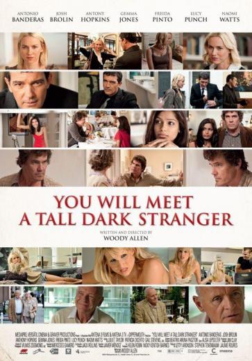 You Will Meet A Tall Dark Stranger<span style=color:#777> 2010</span> DvDRip x264 Feel-Free