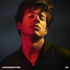 Charlie Puth - Voicenotes [24-44,1] <span style=color:#777>(2018)</span>
