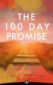 The 100 Day Promise A Guide To Changing From The Inside Out<span style=color:#fc9c6d>[GLODLS]</span>