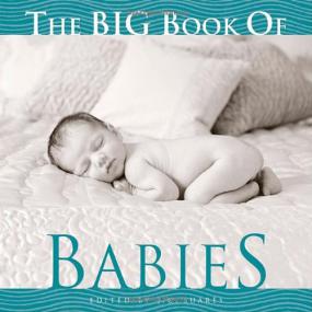The Big Book of Babies <span style=color:#777>(2008)</span>