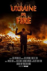 Ukraine On Fire <span style=color:#777>(2016)</span> [720p] [BluRay] <span style=color:#fc9c6d>[YTS]</span>