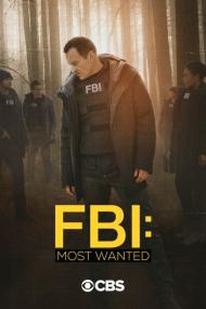 FBI Most Wanted S02E11 720p HDTV x264-SYNCOPY