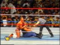 WWF World Tour<span style=color:#777> 1996</span> XVID