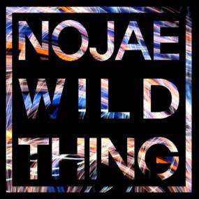 [Jazz Fusion] Nojae - Nojae's Wild Thing<span style=color:#777> 2015</span> (Jamal The Moroccan)