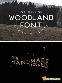 Creativemarket Woodland Font - Handmade 341580