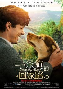 A Dogs Way Home<span style=color:#777> 2019</span> 2160p BCORE WEB-DL x265 10bit HDR DTS-HD MA 5.1<span style=color:#fc9c6d>-SWTYBLZ</span>