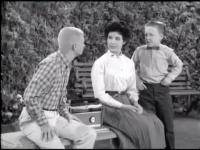 THE MANY LOVES OF DOBIE GILLIS -- A Taste for Lobster ( First Season ) MP4