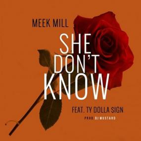 Meek Mill - She Don't Know (feat  Ty Dolla $ign) (Prod  by DJ Mustard)