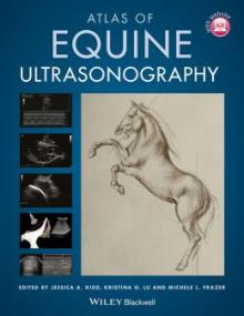 Atlas of Equine Ultrasonography (tahir99)