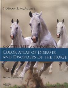 Knottenbelt and Pascoe's Color Atlas of Diseases and Disorders of the Horse 2nd Ed [2014]