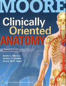 Moore - Clinically Oriented Anatomy 7th Ed [tahir99] VRG
