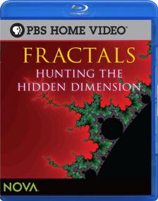 PBS NOVA<span style=color:#777> 2008</span> Fractals Hunting the Hidden Dimension 1080p BDRip x264 AAC