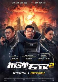 Shock Wave 2<span style=color:#777> 2020</span> CHINESE 1080p BluRay REMUX AVC DTS-HD MA TrueHD 7.1 Atmos 7 1<span style=color:#fc9c6d>-FGT</span>