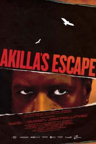 Akillas Escape<span style=color:#777> 2021</span> HDRip XviD AC3<span style=color:#fc9c6d>-EVO[TGx]</span>