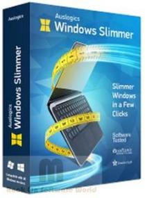 Auslogics Windows Slimmer Professional 3.1.0 Multilingual