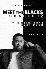 The House Next Door Meet the Blacks 2<span style=color:#777> 2021</span> HDCAM 850MB x264<span style=color:#fc9c6d>-SUNSCREEN[TGx]</span>