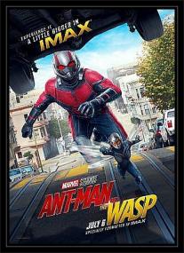 Ant-Man and the Wasp<span style=color:#777> 2018</span> IMAX 2160p Upscaled Eng DTS-HD MA DD 5.1 gerald99