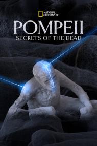 Pompeii Secrets Of The Dead <span style=color:#777>(2019)</span> [720p] [WEBRip] <span style=color:#fc9c6d>[YTS]</span>