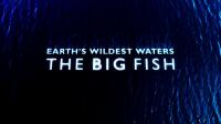 BBC Earths Wildest Waters The Big Fish Series 1 2of6 Cuba 720p HDTV x264 AAC