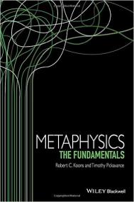 Metaphysics The Fundamentals (Fundamentals of Philosophy) 1st Edition<span style=color:#777> 2015</span>