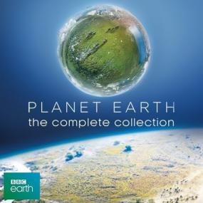 Planet Earth S01 [Hindi Dub] 720p Saicord