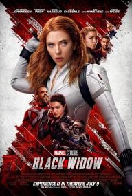 Black Widow<span style=color:#777> 2021</span> HDRip XviD AC3<span style=color:#fc9c6d>-EVO</span>