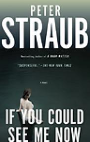 If You Could See Me Now by Peter Straub (Mystery) ePUB+