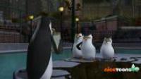 The Penguins of Madagascar S01E45E43 720p HDTV x264-W4F[brassetv]