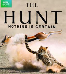 BBC The Hunt 4of7 Hunger at Sea 1080p HDTV x264 AAC