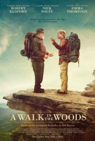 A Walk in the Woods<span style=color:#777> 2015</span> 1080p BluRay x264 DTS-HD MA 5.1<span style=color:#fc9c6d>-RARBG</span>
