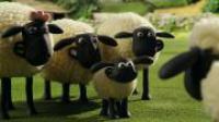 Shaun The Sheep The Farmers Llamas<span style=color:#777> 2015</span> 1080p HDTV x264-DEADPOOL