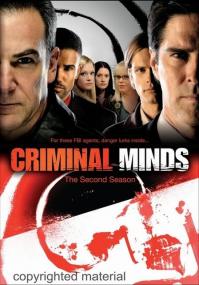 Criminal Minds S04E15 HDTV XviD-0TV [VTV]