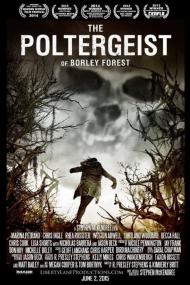 The Poltergeist of Borley Forest<span style=color:#777> 2013</span> 720p BluRay H264 AAC<span style=color:#fc9c6d>-RARBG</span>
