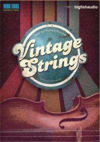 Funk Soul Productions Vintage Strings KONTAKT-AUDIOSTRiKE [oddsox]