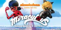 Miraculous Tales of Ladybug and Cat Noir S01E10 Dark Cupid 720p NICK WEBRip AAC2.0 H.264-TVSmash