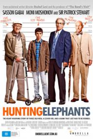 Hunting Elephants <span style=color:#777>(2013)</span> [720p] [BluRay] <span style=color:#fc9c6d>[YTS]</span>