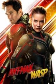 Ant-Man And The Wasp<span style=color:#777> 2018</span> 720p BluRay x264 [MoviesFD]