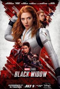 Black Widow<span style=color:#777> 2021</span> COMPLETE BLURAY-PCH