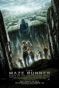 The Maze Runner<span style=color:#777> 2014</span> 3D 1080p BR HSBS AAC-2 0 HEVC x265<span style=color:#fc9c6d>-LGC</span>