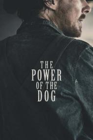 The Power of the Dog<span style=color:#777> 2021</span> 1080p HDRip DD2.0 X 264<span style=color:#fc9c6d>-EVO[TGx]</span>
