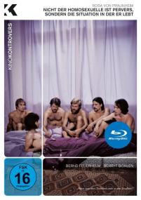 It Is Not the Homosexual Who Is Perverse But the Society in Which He Lives<span style=color:#777> 1971</span> 720p BluRay x264-BiPOLAR[rarbg]