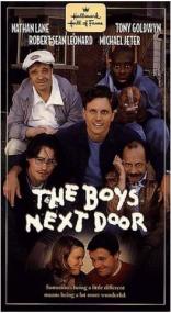 The Boys Next Door<span style=color:#777> 1996</span> 1080p WEBRip x264<span style=color:#fc9c6d>-RARBG</span>