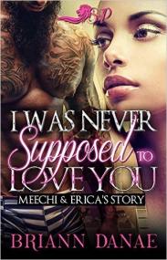 I Was Never Supposed to Love You Meechi and Erica's Story by Briann Danae