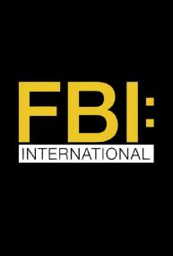 FBI International S01E01 WEBRip x264<span style=color:#fc9c6d>-ION10</span>